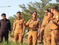 Kekeringan Ancam Ribuan Hektar Lahan Pertanian di Bekasi, Pemkab Turunkan Tim Kaji Cepat
