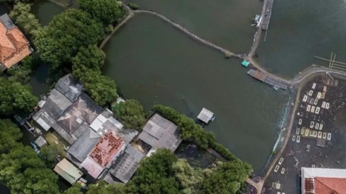 Pesisir Bekasi Kembali Terendam, Solusi Tanggul Laut Dipercepat?