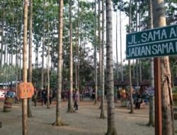 Hidden Gem di Cikarang: Wisata Alam Kawung Tilu yang Instagramable!