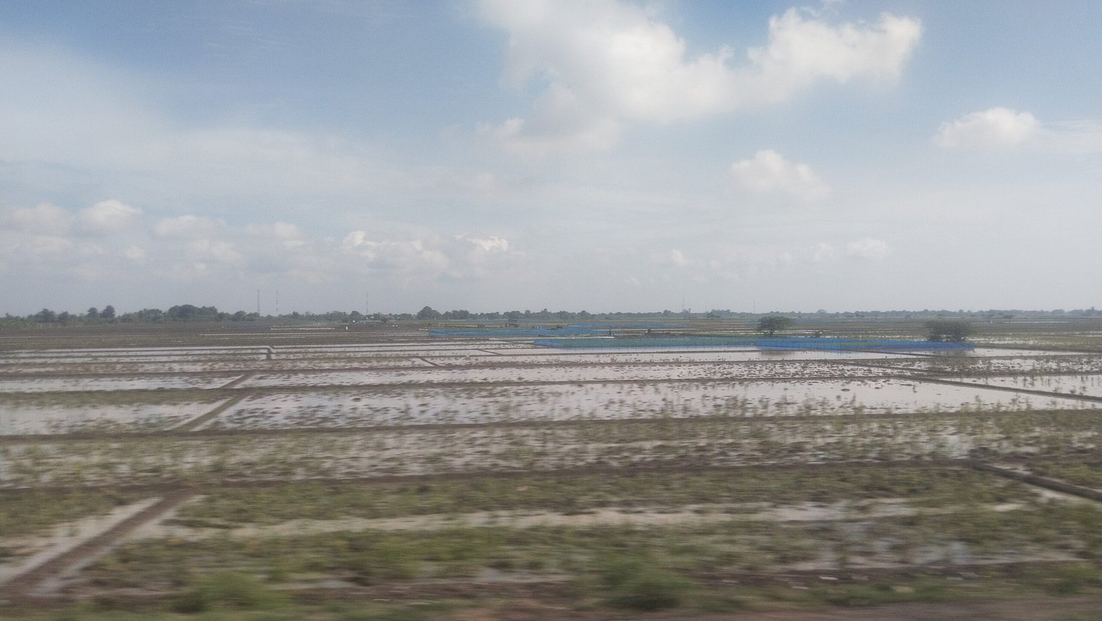 Kabupaten Bekasi Butuh Sawah, Bukan Tambahan Beton: Pesan Dedi Mulyadi ke Ade Kunang