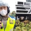Heboh! Sopir Pikap di Palembang Dituduh Bawa Narkoba, Ternyata Hanya Angkut Pisang