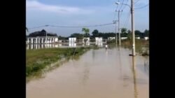 Ribuan Warga Mengungsi, Hujan Deras dan Drainase Buruk Jadi Pemicu Banjir