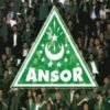 GP Ansor Diterjunkan untuk Bantu TNI-Polri Jaga Keamanan Saat Demonstrasi