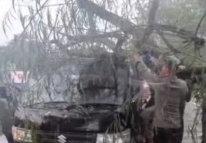 Mobil Bak Terbuka Tertimpa Pohon di Cikarang, Polisi dan Warga Turun Tangan