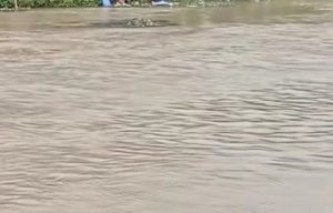 Mayat Mengambang di Kalimalang Gegerkan Warga Cikarang Barat