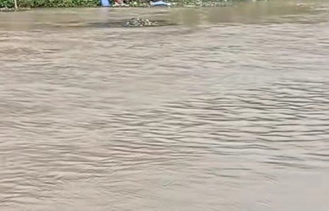 Mayat Mengambang di Kalimalang Gegerkan Warga Cikarang Barat