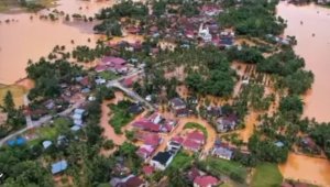 Kementan Tegaskan Banjir Sumatera Tak Ada Hubungannya dengan Cetak Sawah