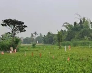 Alih zona kuning ke hijau pengaruhi pasar properti Bekasi.