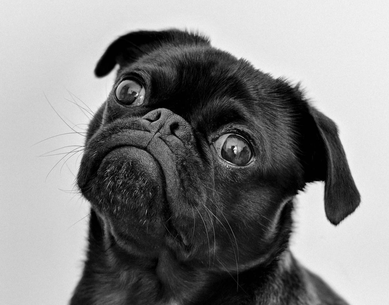 Mulai 2 Januari 2026, makian bernuansa penghinaan berpotensi berujung pidana.