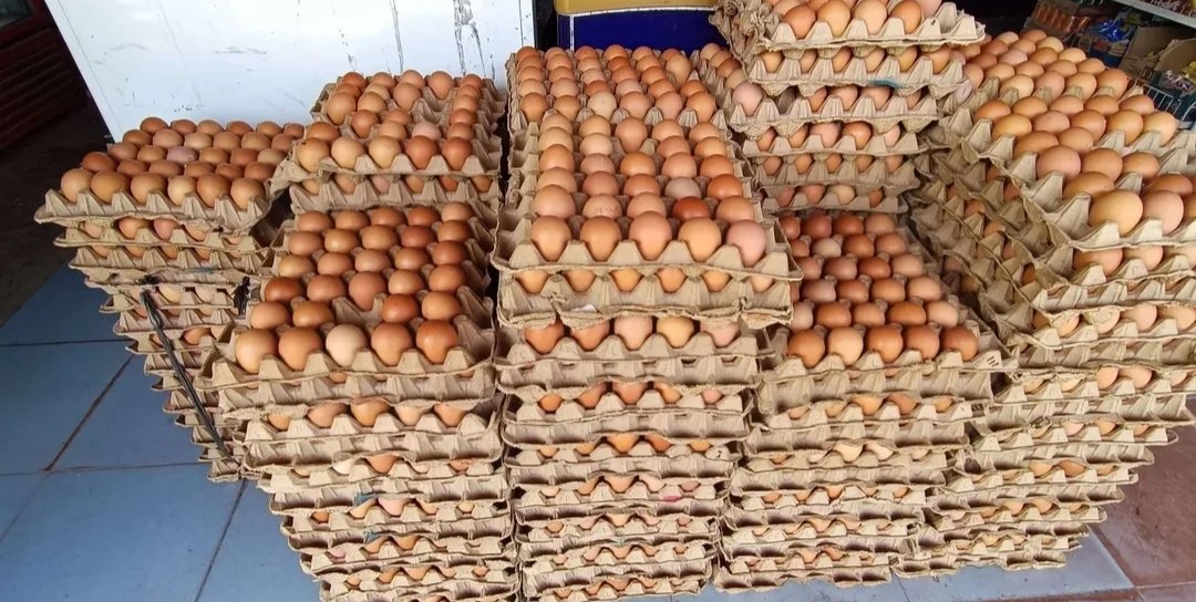 Pasokan tertekan, harga telur di Kota dan Kabupaten Bekasi merangkak naik.