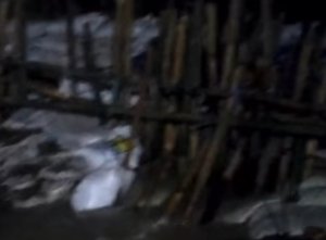 Kondisi banjir di Kecamatan Muaragembong, Kabupaten Bekasi, memburuk setelah tanggul Sungai Citarum di Desa Pantai Bakti jebol pada Minggu dini hari (25/1/2026), memicu kekhawatiran meluasnya genangan ke permukiman warga.