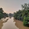 Air Kali Bekasi berbuih, DLH lakukan penelusuran dugaan pencemaran.