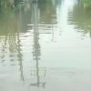 Hujan deras, banjir kembali genangi Villa Kencana Cikarang.
