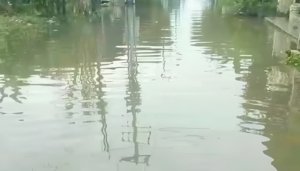 Hujan deras, banjir kembali genangi Villa Kencana Cikarang.