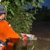Sirine peringatan dini banjir aktif di Bekasi Utara menyusul naiknya debit Kali Bekasi akibat kiriman air dari Bogor.