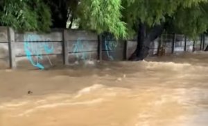 Status siaga satu banjir ditetapkan di Kampung Begedor, Muara Gembong, setelah debit air terus meningkat.