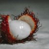 Produksi rambutan akhir 2025 menurun akibat faktor iklim dan pertimbangan ekonomi petani, ungkap pakar IPB Prof. Sobir.