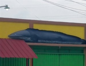 Patung Ikan Gabus di Tambun Utara kini menjadi ikon UMKM dan kuliner untuk mendorong ekonomi warga setempat.