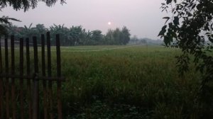 Seorang petani ditemukan meninggal dunia di area persawahan Kampung Ceger, Cibitung, saat tengah beraktivitas membawa bibit padi.