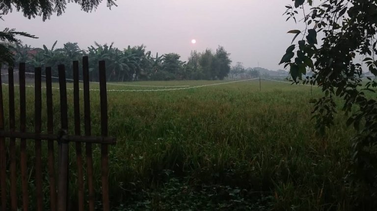 Seorang petani ditemukan meninggal dunia di area persawahan Kampung Ceger, Cibitung, saat tengah beraktivitas membawa bibit padi.
