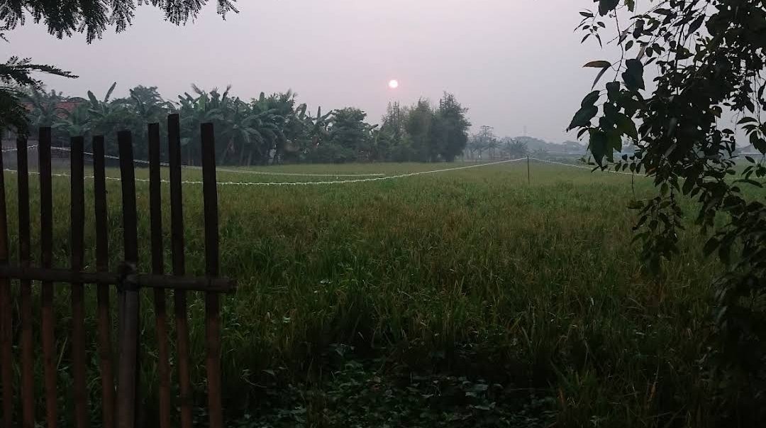 Seorang petani ditemukan meninggal dunia di area persawahan Kampung Ceger, Cibitung, saat tengah beraktivitas membawa bibit padi.