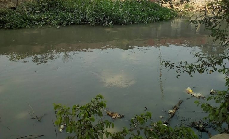 Tanggul sungai di Kabupaten Bekasi dalam kondisi kritis, meningkatkan risiko banjir saat hujan deras dan mengancam permukiman warga.