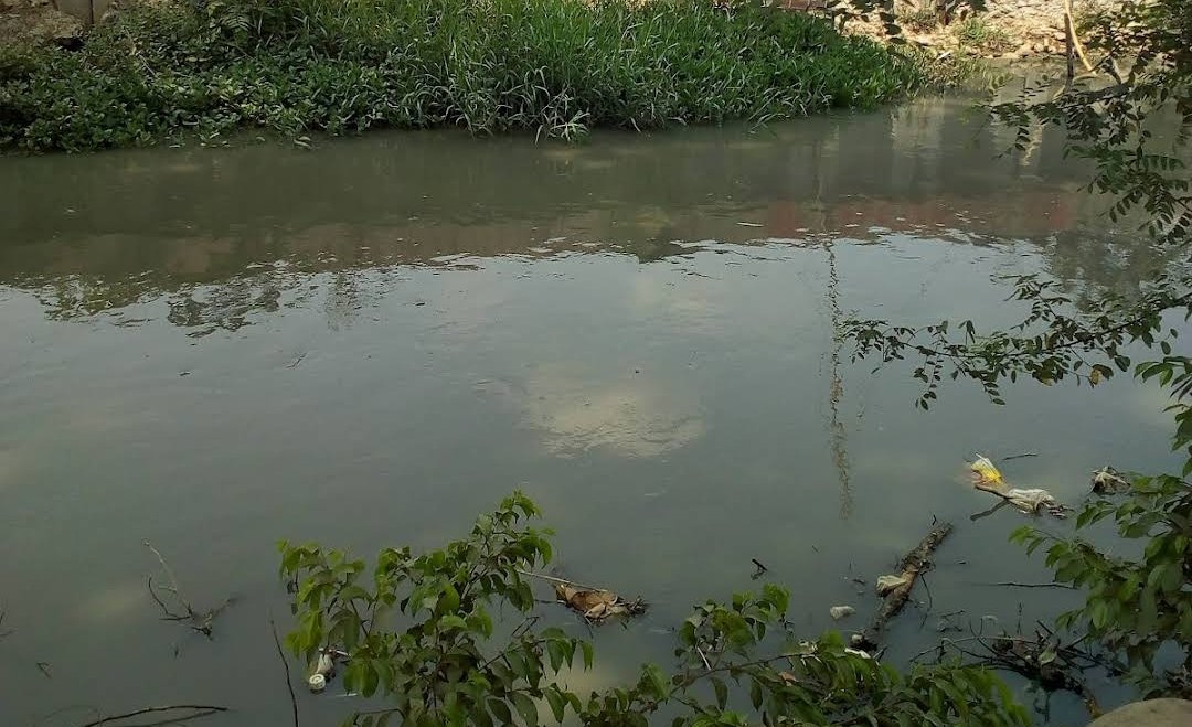 Tanggul sungai di Kabupaten Bekasi dalam kondisi kritis, meningkatkan risiko banjir saat hujan deras dan mengancam permukiman warga.