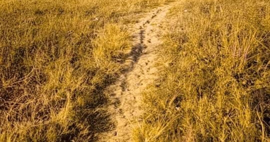 Kondisi jalan rusak di Kampung Rawa Banteng, Cikarang Timur, dikeluhkan warga karena membahayakan pengguna jalan.