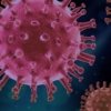 Dinkes Kota Bekasi memastikan belum ada temuan kasus Hantavirus. Meski begitu, warga diminta tetap waspada terhadap virus yang dibawa hewan pengerat tersebut.