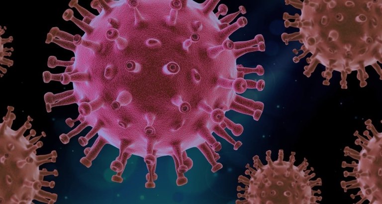 Dinkes Kota Bekasi memastikan belum ada temuan kasus Hantavirus. Meski begitu, warga diminta tetap waspada terhadap virus yang dibawa hewan pengerat tersebut.