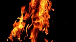 Asap hitam membumbung tinggi saat kebakaran melanda gudang limbah dan penampungan sampah di Kampung Jarakosta, Desa Danau Indah, Cikarang Barat, Selasa (16/6/2026).