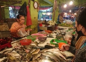 Aktivitas pelaku UMKM di Kabupaten Bekasi terdampak pemadaman listrik. Sejumlah usaha mengaku mengalami penurunan produktivitas dan potensi kerugian akibat gangguan pasokan listrik.