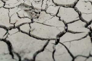 Petugas BPBD Kabupaten Bekasi menyalurkan bantuan air bersih ke wilayah terdampak kekeringan di Kecamatan Serang Baru dan Cibarusah akibat sumur warga mulai mengering selama musim kemarau.