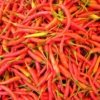 Harga cabai rawit merah di sejumlah pasar tradisional Kabupaten Bekasi melonjak hingga Rp90 ribu per kilogram, jauh di atas Harga Eceran Tertinggi (HET) yang ditetapkan pemerintah.