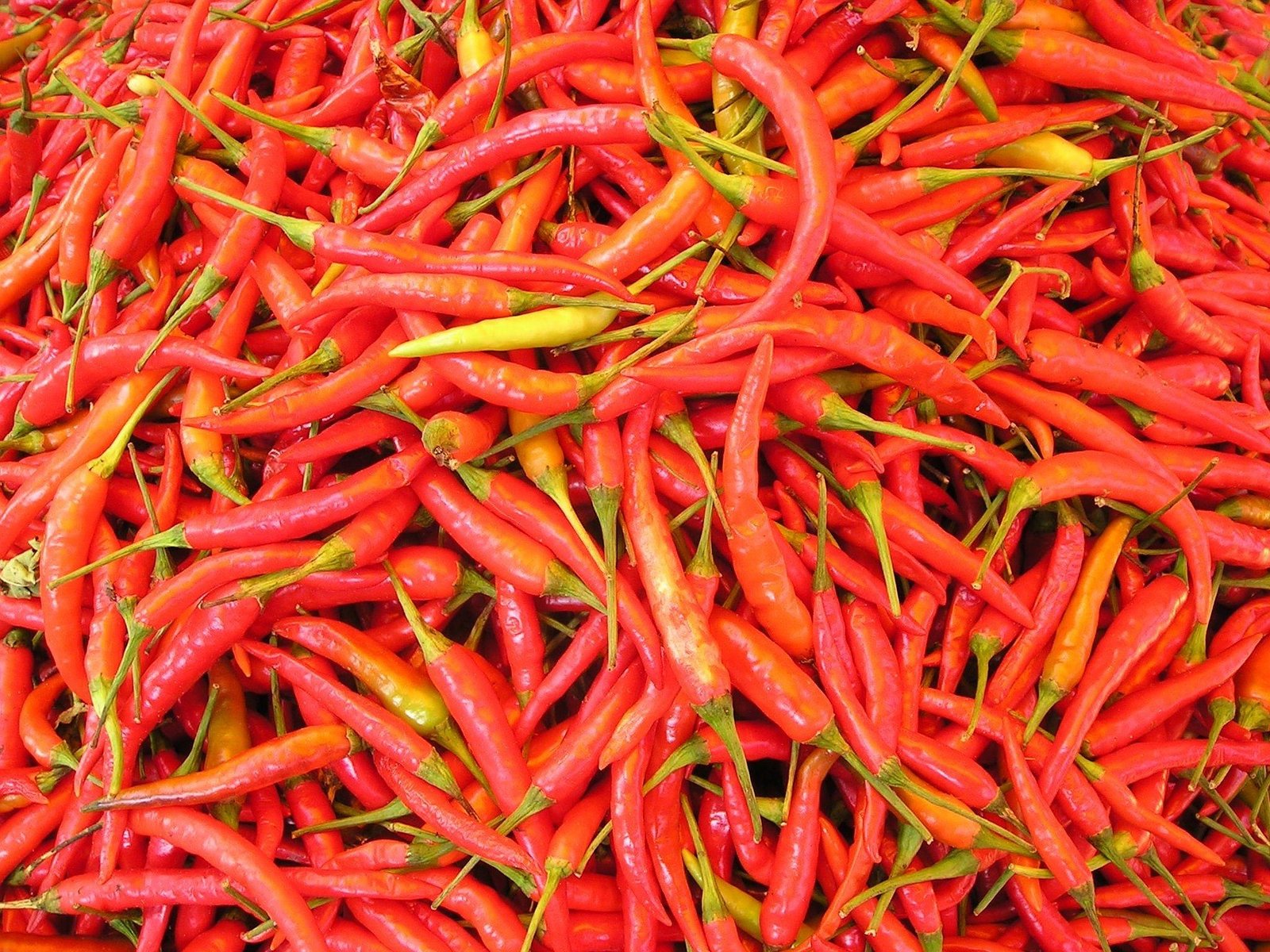 Harga cabai rawit merah di sejumlah pasar tradisional Kabupaten Bekasi melonjak hingga Rp90 ribu per kilogram, jauh di atas Harga Eceran Tertinggi (HET) yang ditetapkan pemerintah.