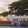 Asap tebal membubung dari kebakaran lahan alang-alang di kawasan Delta Silicon, Cikarang, Kabupaten Bekasi, Selasa (28/7/2026). Api berhasil dipadamkan oleh petugas Damkar.