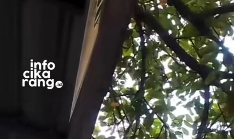 Warga Kp Tangsi dan Cikedokan Resah, Suara Bising Disebut Mengganggu Selama Tiga Hari