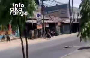 Bikin Pengendara Kaget, Bangkai Ular Besar Tergeletak di Jalan Sebelum Terminal Cikarang