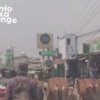 Iring-Iringan Sapi Melintas di Sukamahi Cikarang, Pengendara Diminta Bersabar