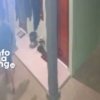 Dua iPhone 11 dan 13 Dicuri dari Kosan di Jati Pilar, Jejak Terakhir Terdeteksi di Tangerang