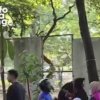 Viral Anak Kecil Ketiduran dalam Kostum Badut, Narasi Sebut Disuruh Mengemis