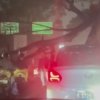 Pohon Tumbang di Exit Tol Cibubur, Pengendara Disarankan Keluar di Pintu Tol Berikutnya