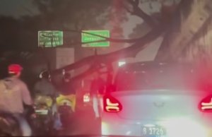 Pohon Tumbang di Exit Tol Cibubur, Pengendara Disarankan Keluar di Pintu Tol Berikutnya